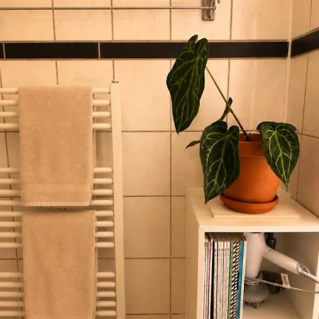 City-apartment Am Aubachufer 아파트 *